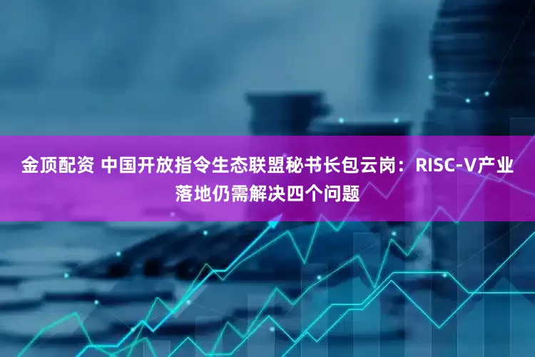 金顶配资 中国开放指令生态联盟秘书长包云岗：RISC-V产业落地仍需解决四个问题