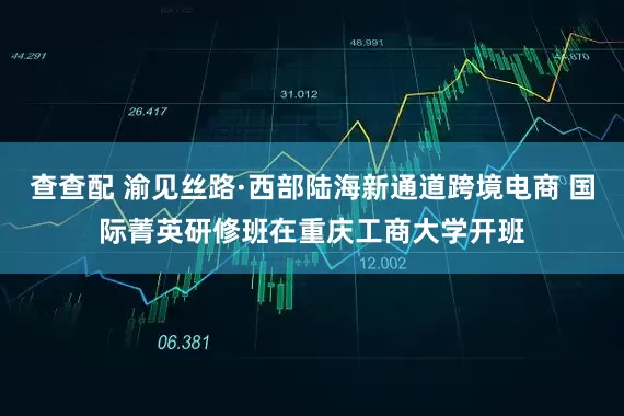 查查配 渝见丝路·西部陆海新通道跨境电商 国际菁英研修班在重庆工商大学开班