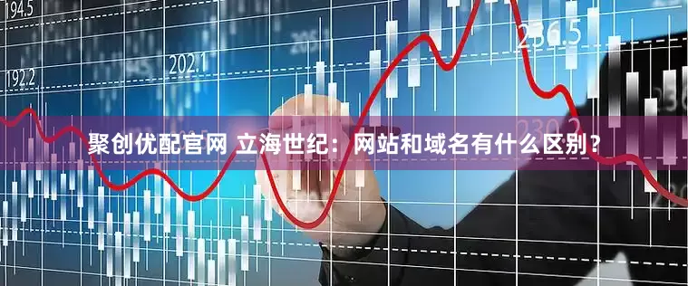 聚创优配官网 立海世纪：网站和域名有什么区别？