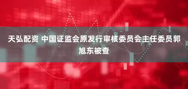 天弘配资 中国证监会原发行审核委员会主任委员郭旭东被查