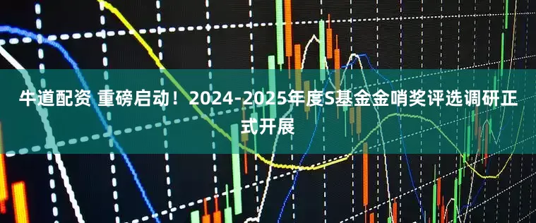 牛道配资 重磅启动！2024-2025年度S基金金哨奖评选调研正式开展